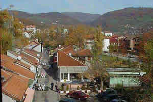breza