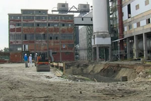 novipogon