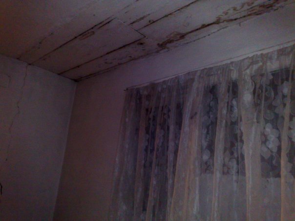 11042_1303005540334_1386335926_855107_2842962_n