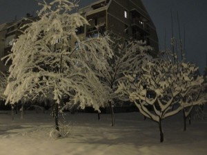IMG_1608