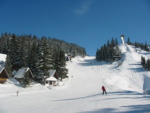 Vlasic_01