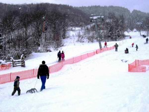 konjuh (2)
