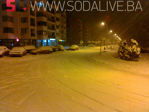 Picture 002