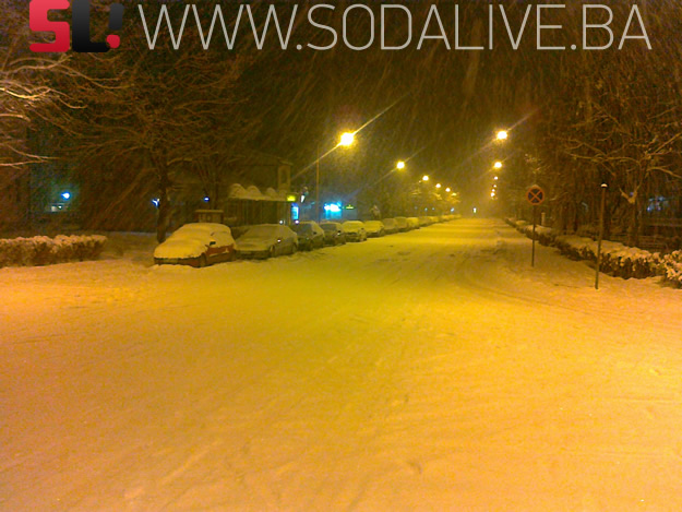 Picture 003