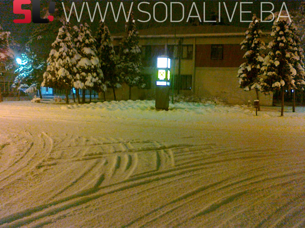 Picture 006