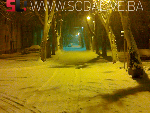 Picture 009