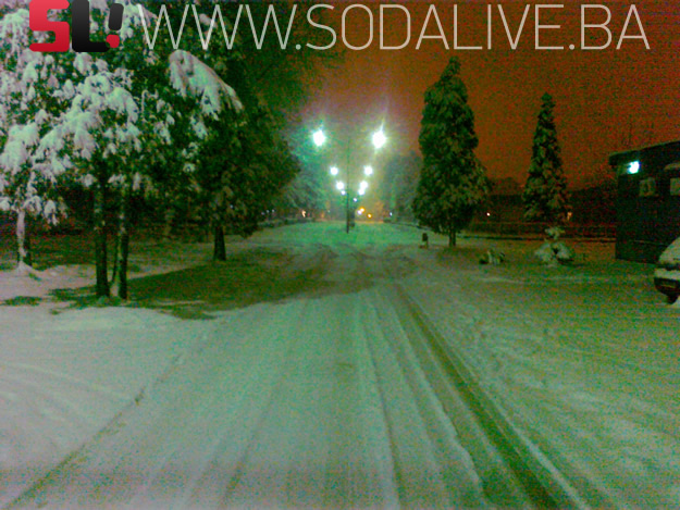 Picture 011