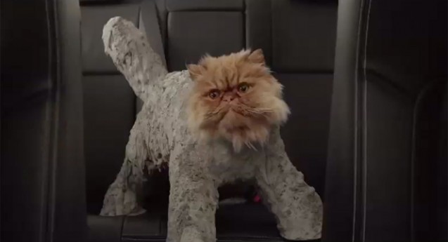 temp_Toyota_Cat_191012