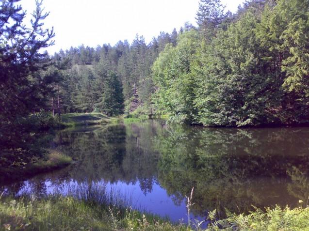 Brana Jusići