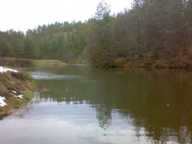 Brana Jusići